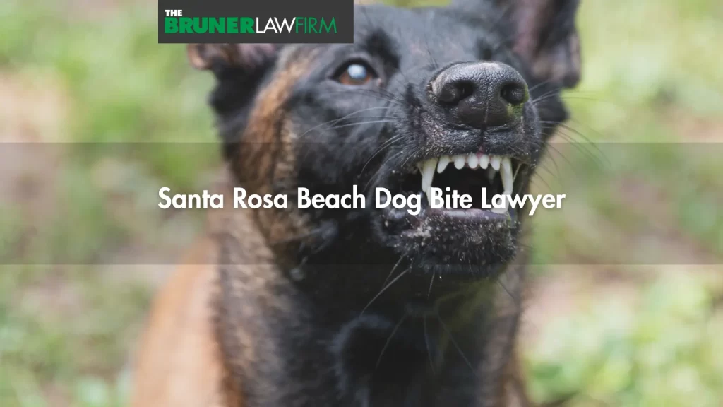 Santa Rosa Beach Dog Bite Lawyer
