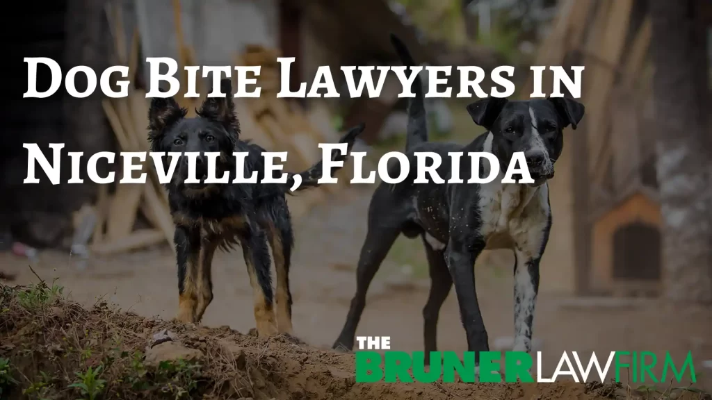 Dog Bite Lawyers in Niceville, Florida Image