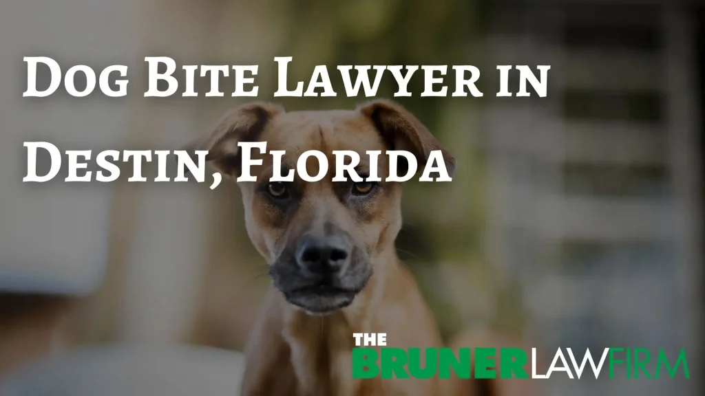 Dog Bite Lawyer in Destin, Florida Image