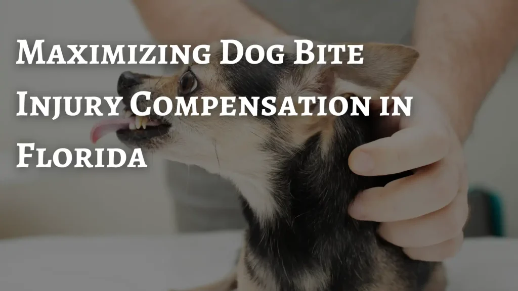 Maximizing Dog Bite Injury Compensation in Florida Image
