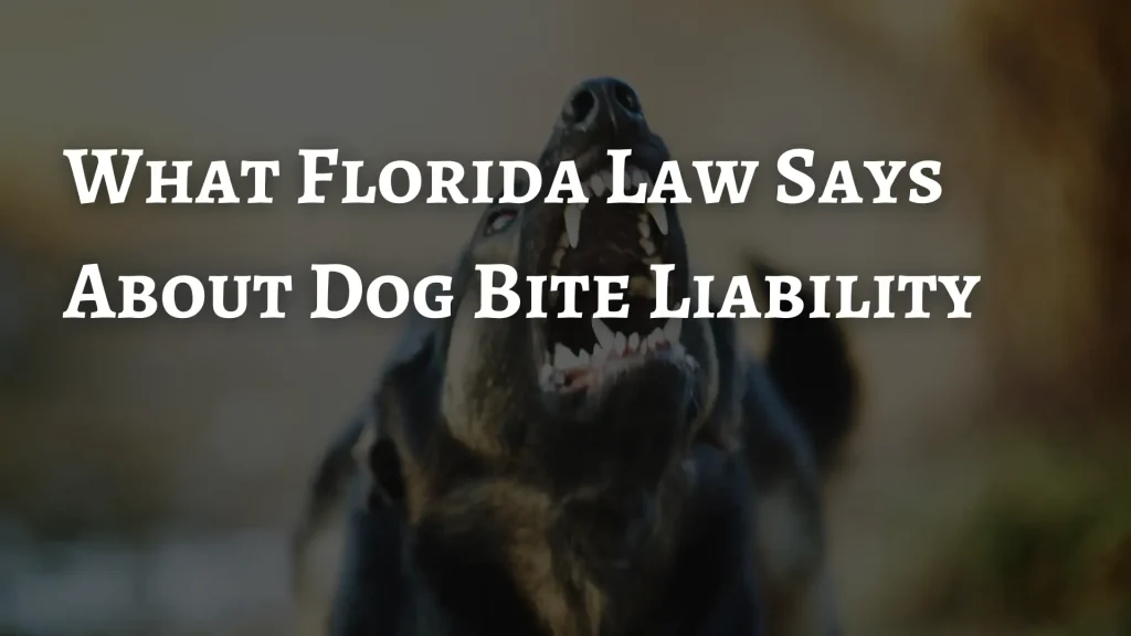 What Florida Law Says About Dog Bite Liability Image