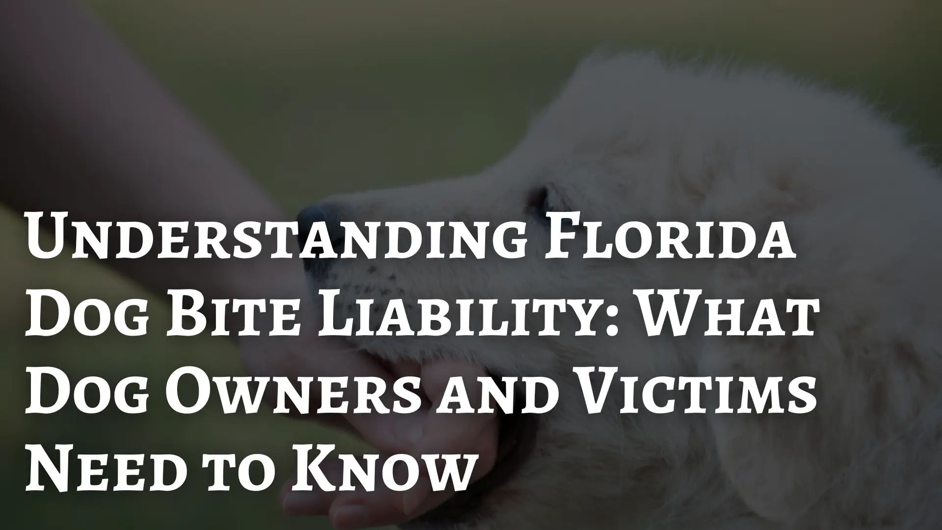 Understanding Florida Dog Bite Liability_ What Dog Owners and Victims Need to Know Image